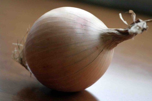Kraken istand onion